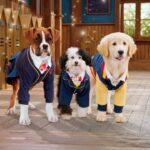 Pup Academy Season 2 Release Date