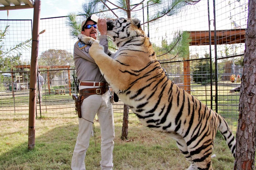 Tiger king season 3
