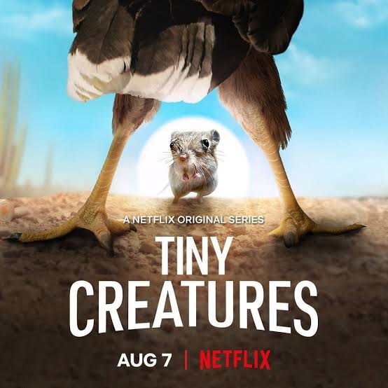 Tiny Creatures Season 2 Release Date