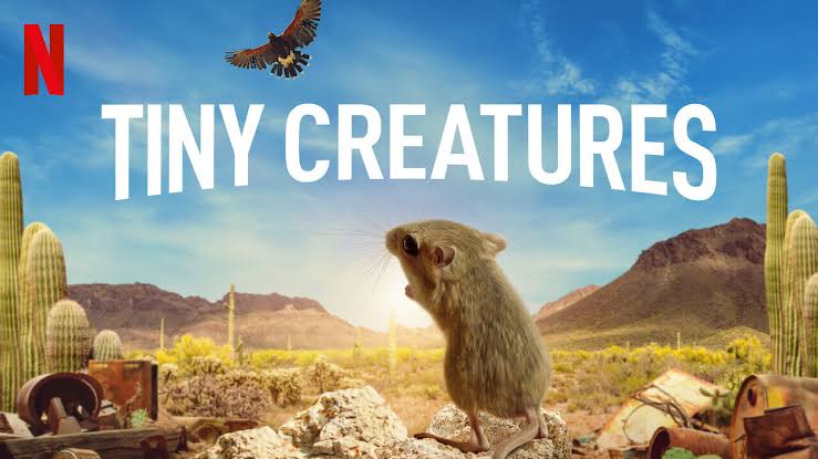 Tiny Creatures Season 2 Release Date