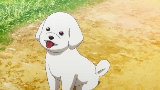 17 Most Loved Dog In Anime
