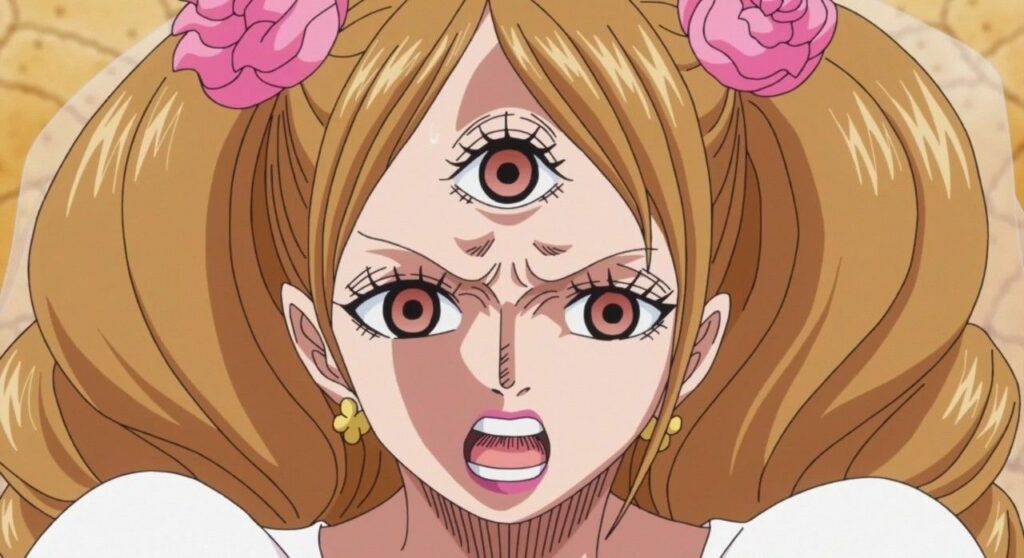 How Old Is Pudding From One Piece