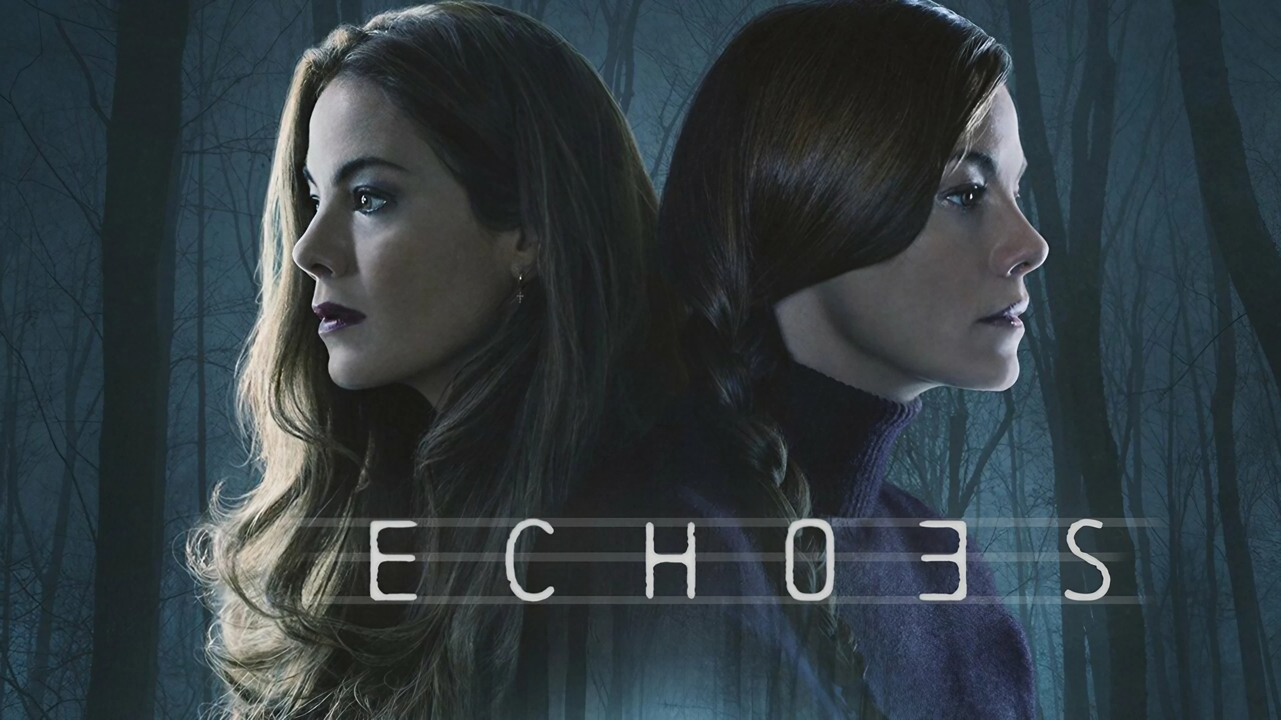 Is Netflix Series Echoes Based On A True Story