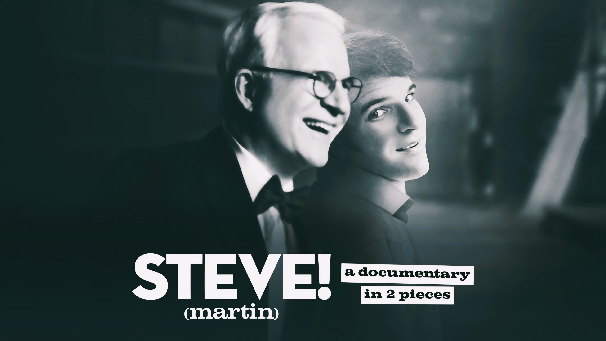 Is Steve! (Martin) A Documentary In 2 Pieces Based On A True Story?